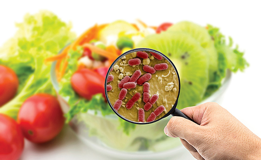 Material visual sobre bacterias y contaminación de los alimentos incluido en el curso